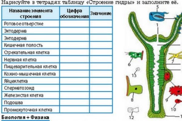 Кракен маркет даркнет speed up