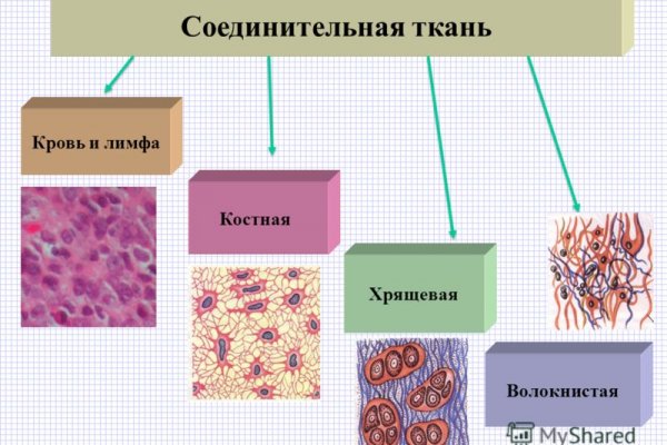 Кракен 17