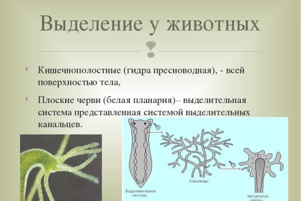 Кракен даркнет ссылка зеркало