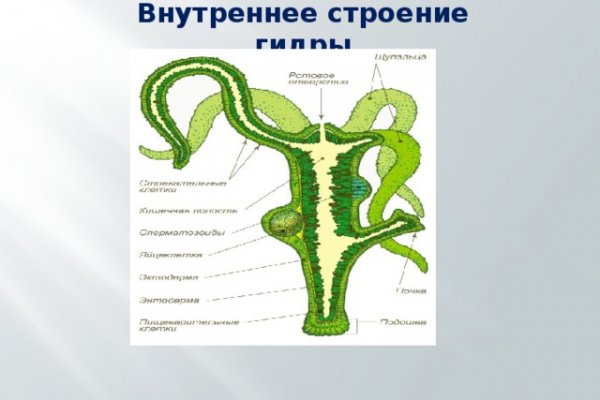 Кракен это современный даркнет маркет